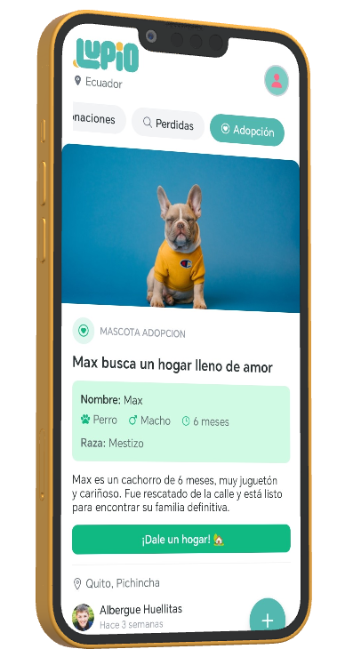 Lupio App - Donaciones